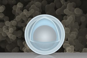 ‘Yolks’ and ‘shells’ improve rechargeable batteries