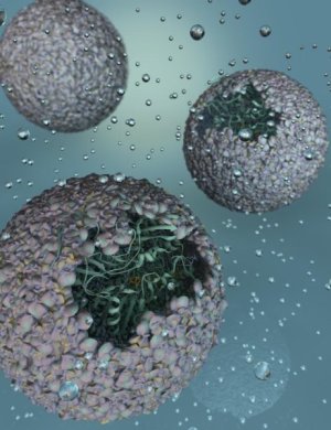 ‘Nano-reactor’ created for the production of hydrogen biofuel