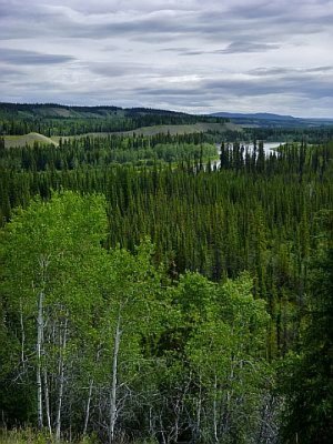 Large-scale hydroelectric dam in Yukon would be a major environmental concern