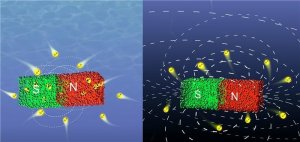 Chemistry controls magnetism