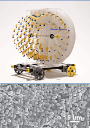 Evaporation-powered motor and light