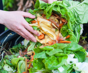 Bigwigs have big ideas for cutting our food waste in half