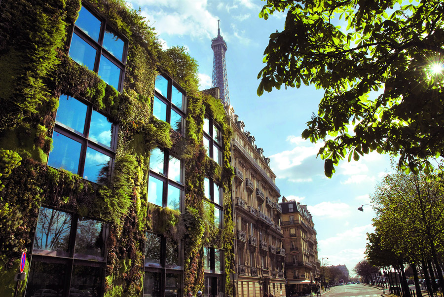 France Passes Green Rooftop Law