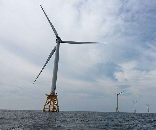 On US coast, wind power foes embrace ‘Save the Whales’ argument