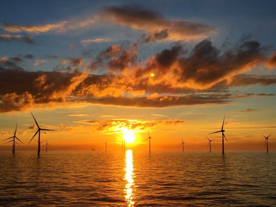 India Opens Tender for 500 MW Offshore Wind Project Off Gujarat