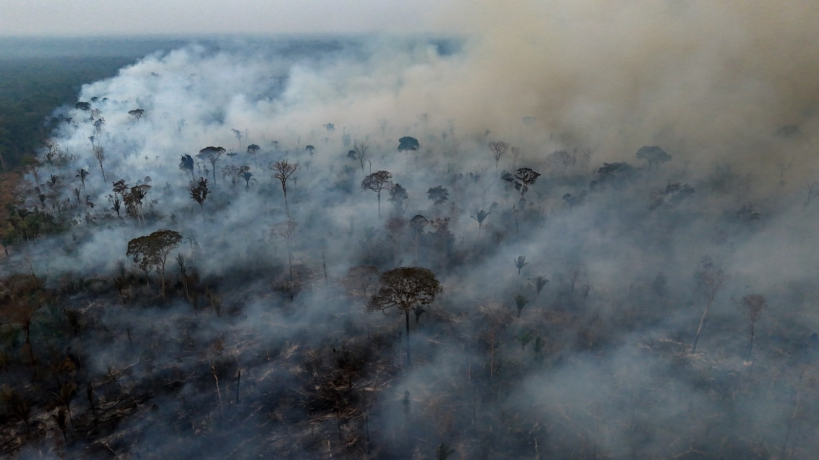 South America is burning. Climate scientists who have seen this coming for decades